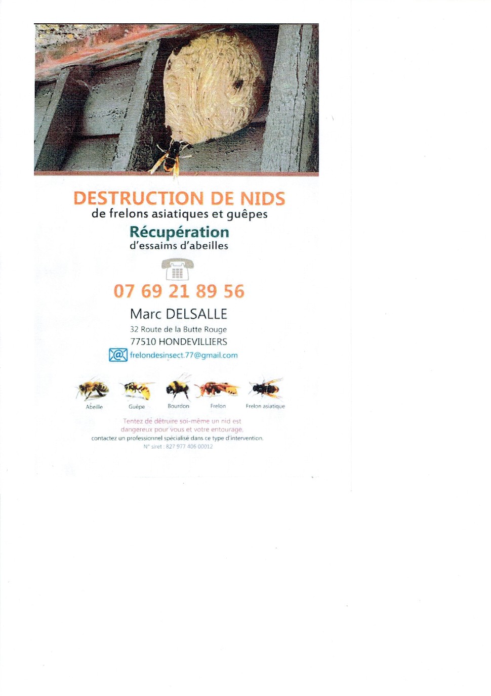 Destruction de nids de guêpes, bourdons, frelons européens, frelons asiatiques. Récupération d'essaims d'abeilles.